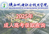 2025成考录取查询